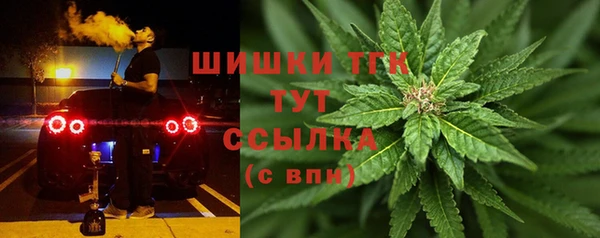 спиды Алзамай