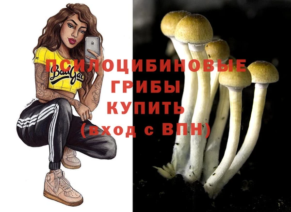 спиды Алзамай