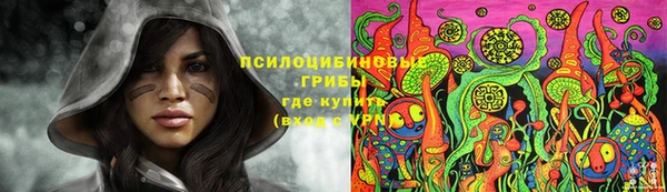 спиды Алзамай