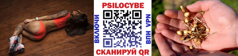 Галлюциногенные грибы мицелий  Зверево 