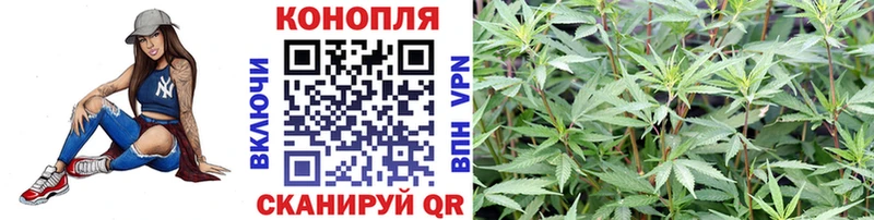 Бошки марихуана семена  МЕГА ССЫЛКА  Зверево 
